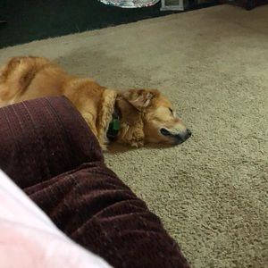 Meet your Posher, Sue